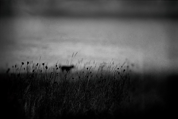 2012-09-20-95-4-3