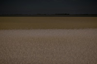 170714-13