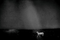 2010 august 23-336-4