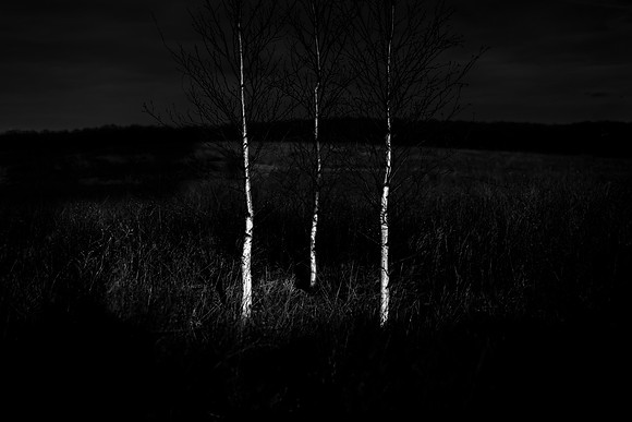 151214-168
