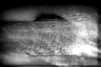 2011-03-20-17-6