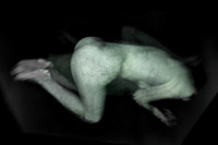 210314 #376-6-4