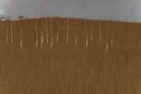 090114-245
