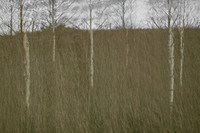 090114-310