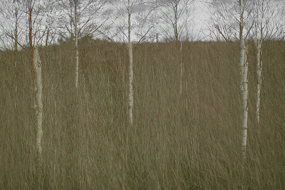 090114-310