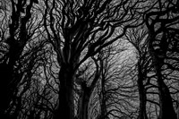 chrisfriel-5-8