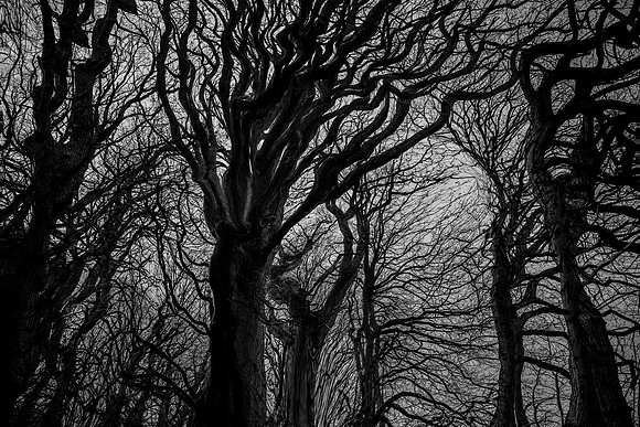 chrisfriel-5-8