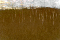 090114-264