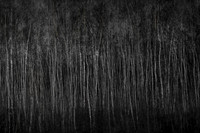 101214-490