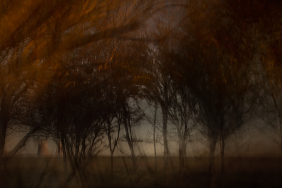 autumn #11