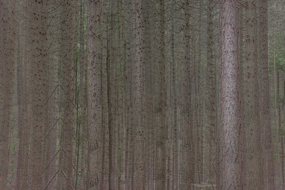 chris friel 7