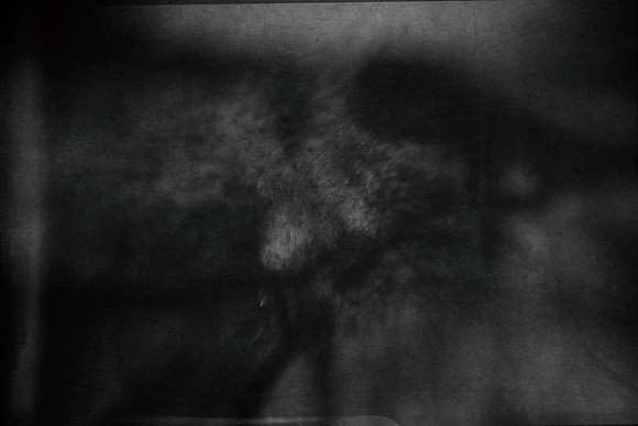 untitled shoot--7-2