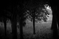 2013-09-30v2-249