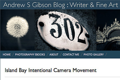 andrew gibson