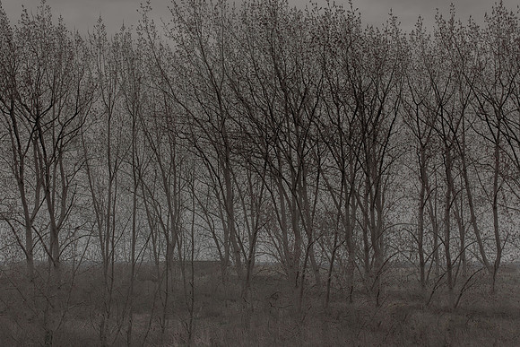 300315#265