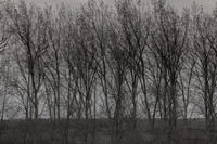 300315#273