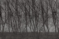 300315#281