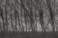 300315#284