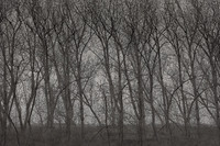 300315#297