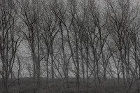 300315#298