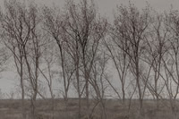300315#337