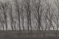 300315#346