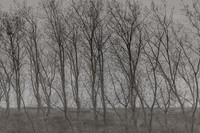 300315#358