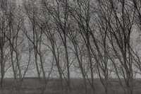 300315#373