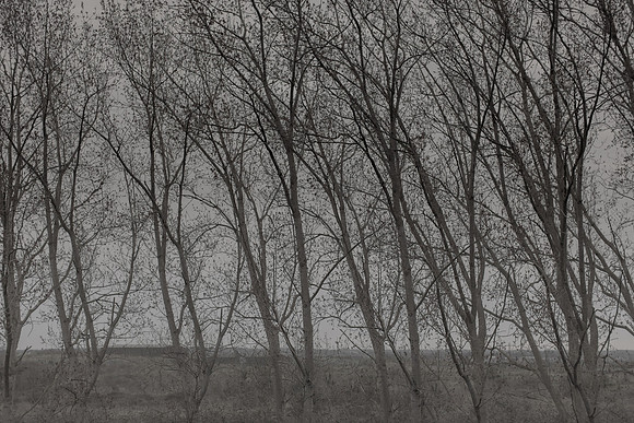 300315#373
