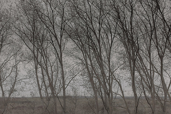 300315#374