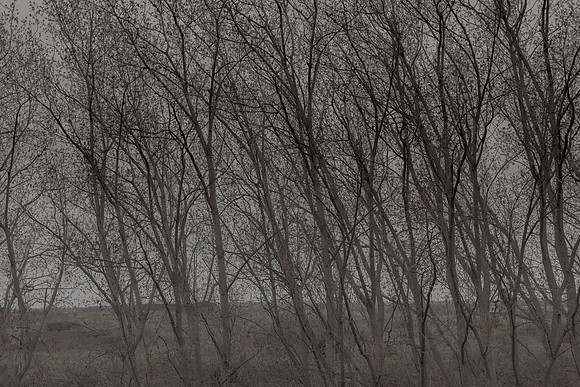 300315#380