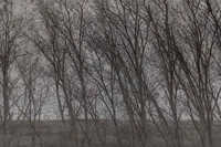 300315#381