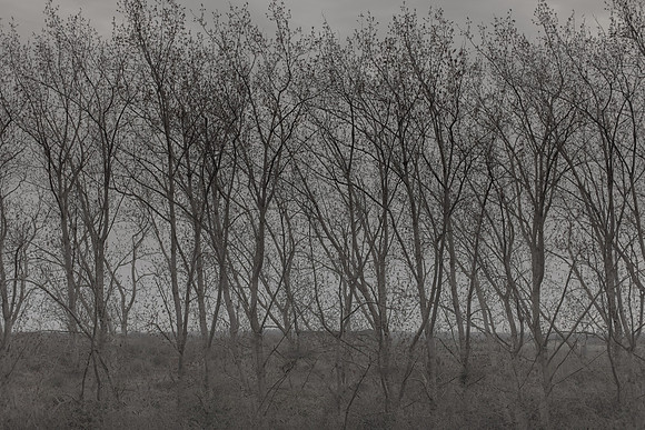 300315#415