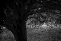 2013-09-30v2-260