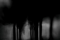 IMG_0100-7