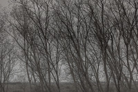 300315/379