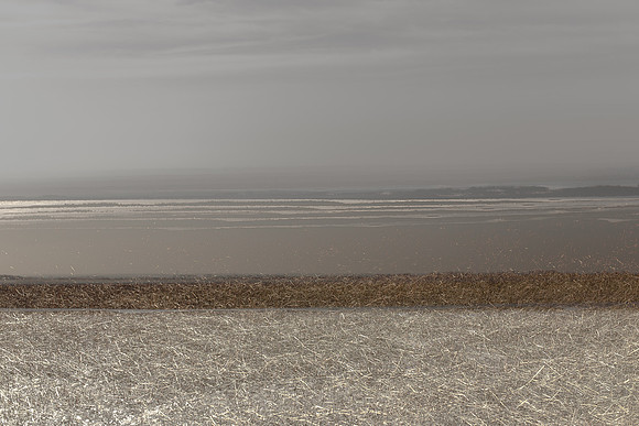 130315/41