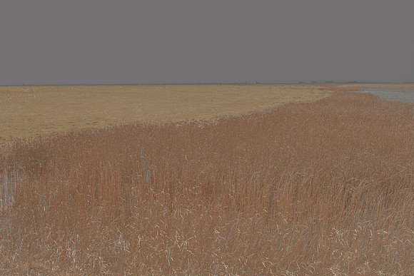 070315/215