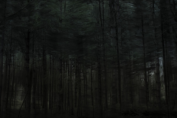 trees 28 #64