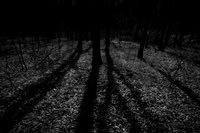 shadows #3