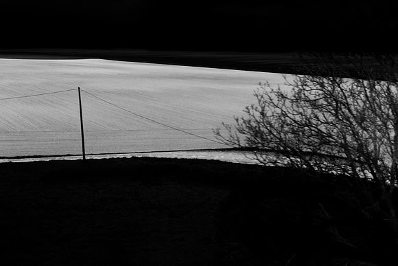donostia #336
