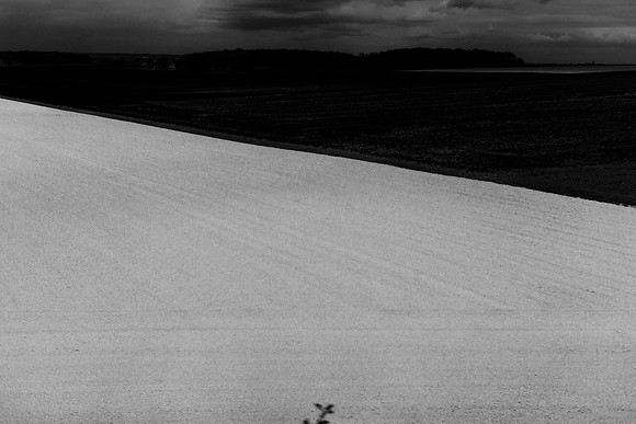 donostia #344