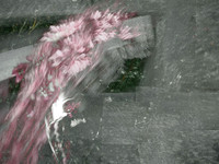 210515-42