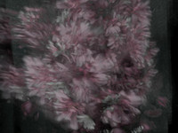 210515-62
