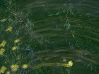 220515-15