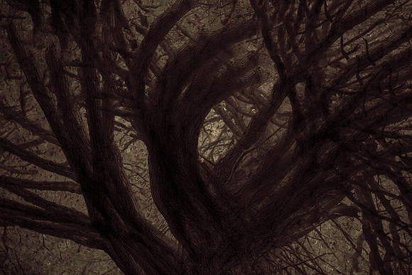 2012-10-18-61