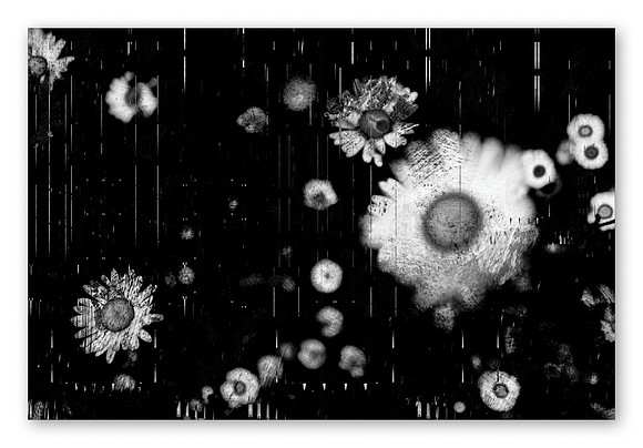 JWE-JW-RL-V210x280-PR-Spreads15_1080px
