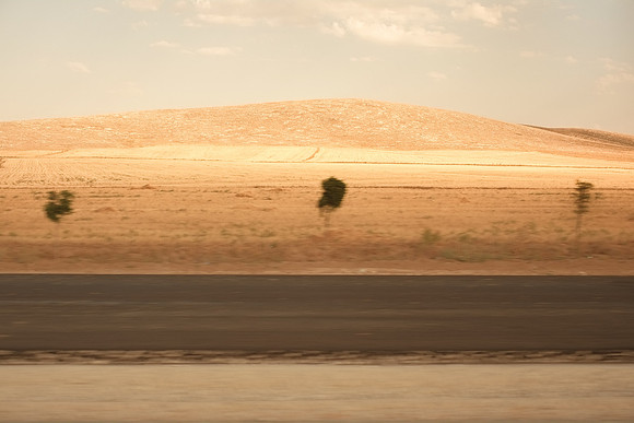 silk road #7