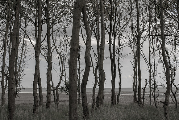 300415-480