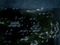 010615-112
